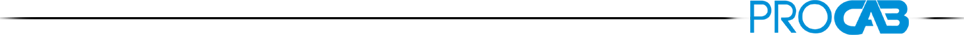 PROCAB - Ihr Spezialist f�r individuell gefertigte, hochgel�ndeg�ngige Expeditionsfahrzeuge und Reisefahrzeuge
